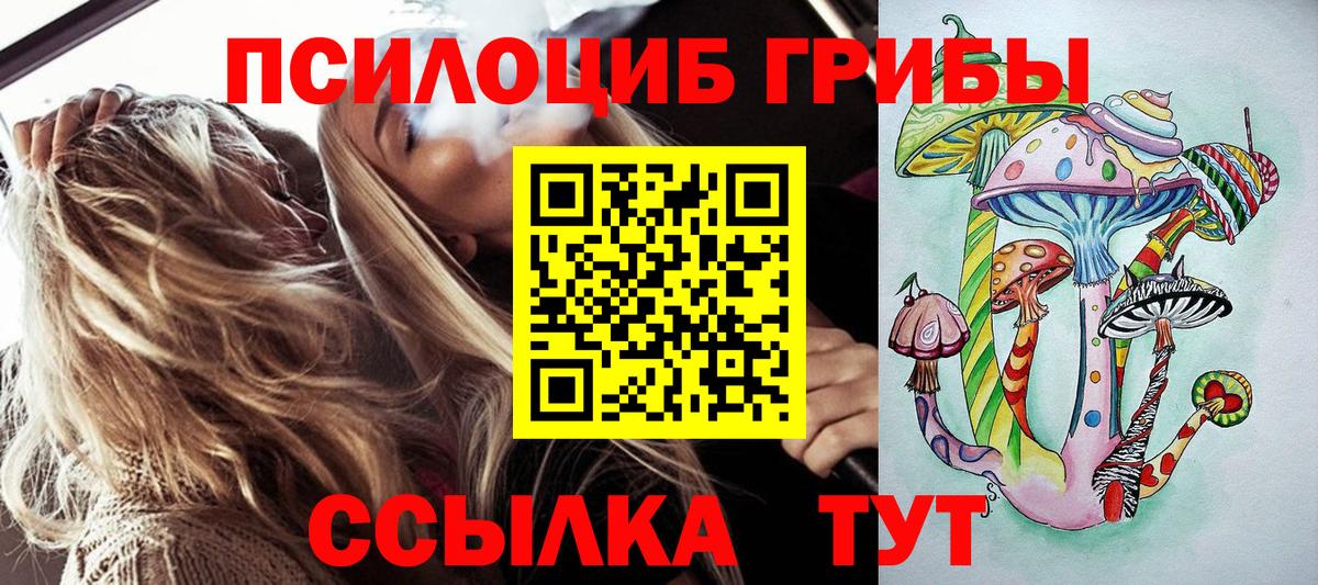 Галлюциногенные грибы GOLDEN TEACHER Сухой Лог