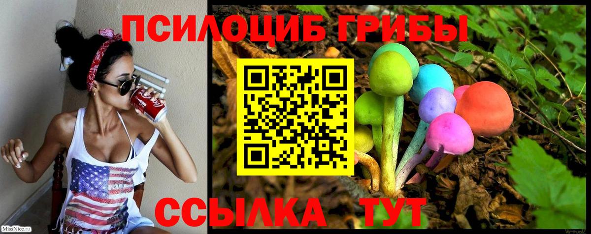 Псилоцибиновые грибы ЛСД  Вход с VPN  наркошоп  Сухой Лог  Псилоцибиновые грибы мухоморы 